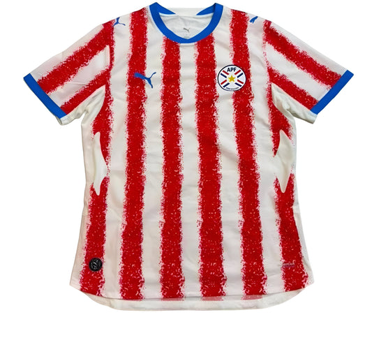 Paraguay 2026 World Cup
